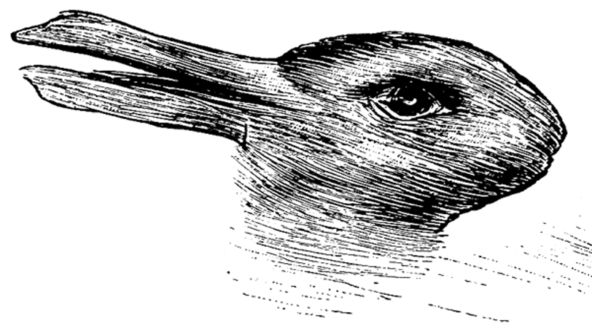 tvarová psychológia